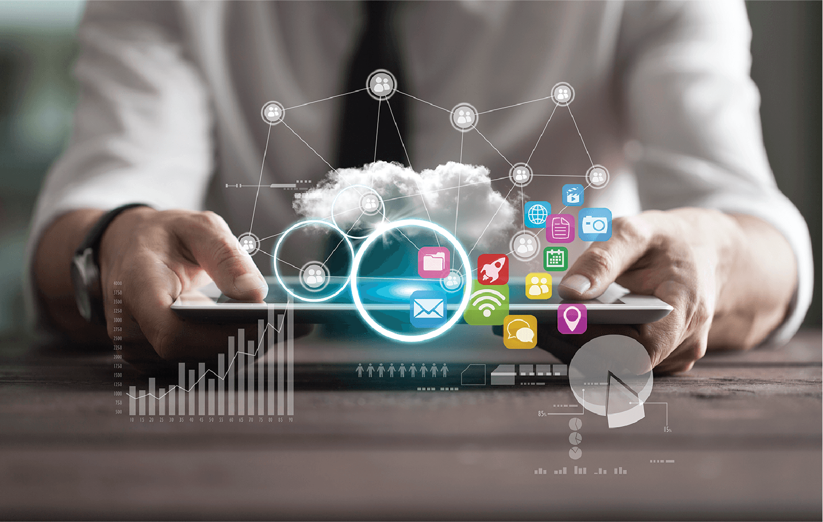 Software Consulting Services